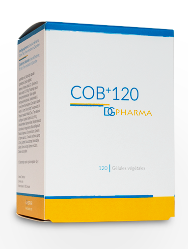 COB+120 Promo 3 + 1 gratuit